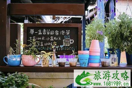 2022台中有哪些好玩的台中应该怎么玩 2022台中有哪些好玩的台中应该怎么玩