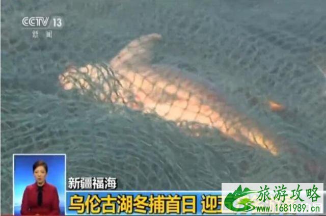 2022年乌伦古湖冬捕节活动 2022年乌伦古湖冬捕节活动