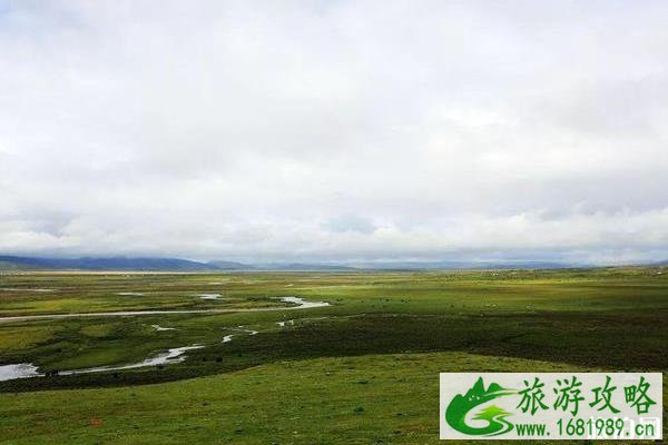 G317国道自驾游攻略+最佳路线 G317国道自驾游攻略+最佳路线