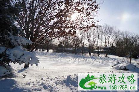 美国遭遇暴风雪机场航班影响 芝加哥受影响 美国遭遇暴风雪机场航班影响 芝加哥受影响