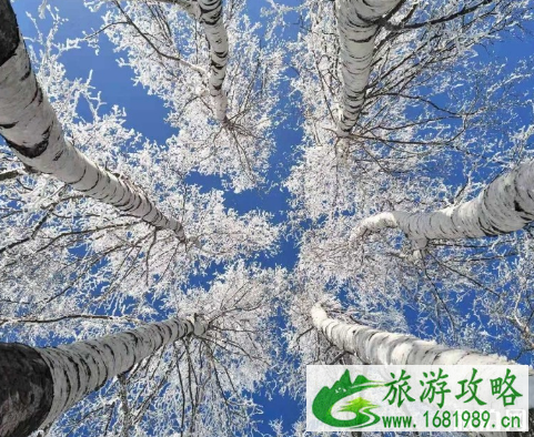 冬天的坝上草原好玩吗 冬天去坝上草原注意事项 冬天的坝上草原好玩吗 冬天去坝上草原注意事项