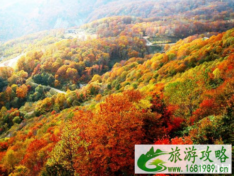 2022春节香山寺景区开放吗 香山寺景区关闭时间+门票价格+交通 2022春节香山寺景区开放吗 香山寺景区关闭时间+门票价格+交通