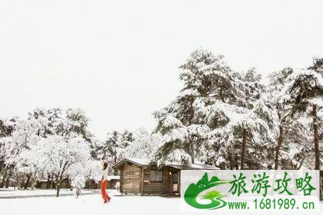 2022轻井泽滑雪攻略