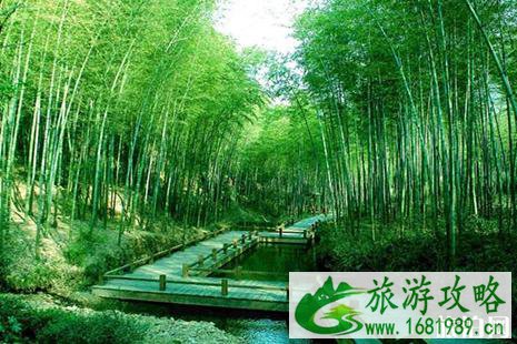 2022常州市必去十大景点排行榜出行攻略 2022常州市必去十大景点排行榜出行攻略