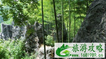 蔡伦竹海门票多少钱+优惠政策 蔡伦竹海门票多少钱+优惠政策