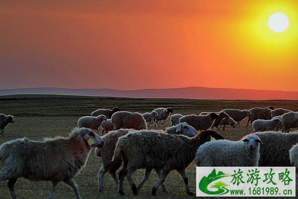 2022年1月份去哪里旅游好 2022年1月份去哪里旅游好