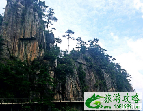 南宁大明山有雾凇了吗 2022南宁大明山游客限流时间+人数 南宁大明山有雾凇了吗 2022南宁大明山游客限流时间+人数