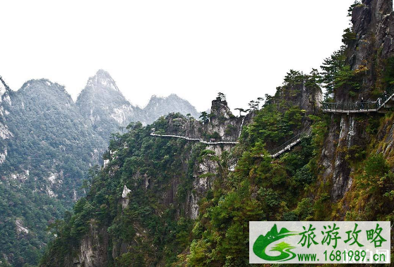 南宁大明山有雾凇了吗 2022南宁大明山游客限流时间+人数 南宁大明山有雾凇了吗 2022南宁大明山游客限流时间+人数