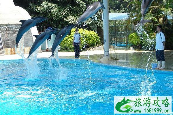 南宁动物园游乐设施大全 南宁动物园游乐设施大全