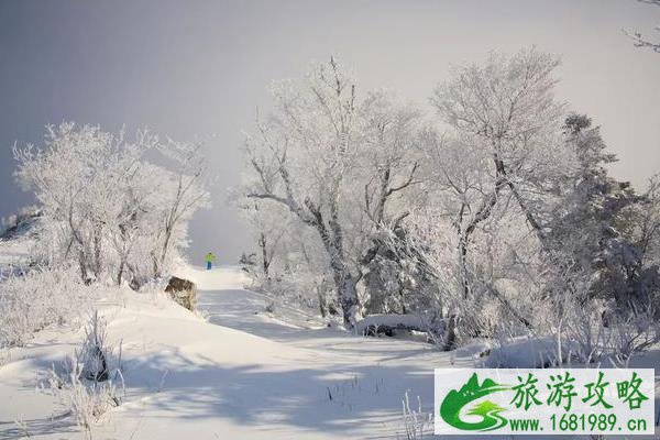 崇礼滑雪场价格大全 崇礼滑雪场价格大全