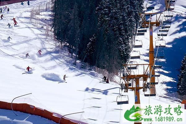 丝绸之路国际滑雪场开放时间