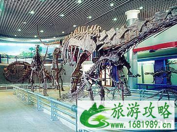 北京有哪些有意思的博物馆值得一去 北京有哪些有意思的博物馆值得一去