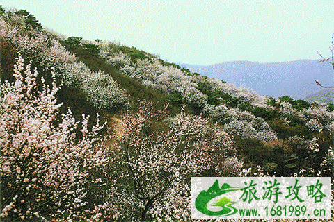 北京八大处游玩攻略(门票+开放时间+地址交通指南) 北京八大处游玩攻略(门票+开放时间+地址交通指南)