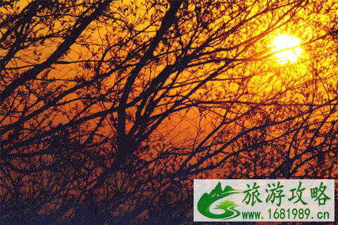 北京八大处游玩攻略(门票+开放时间+地址交通指南) 北京八大处游玩攻略(门票+开放时间+地址交通指南)