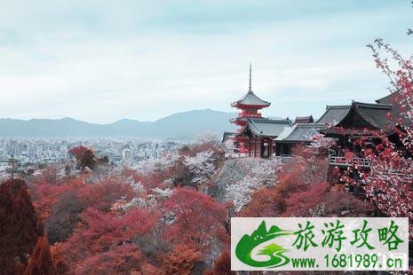 2022签证放宽的国家有哪些近期整理