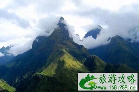 边境旅游通行证越南沙巴可以吗 河口边境旅游通行证恢复持身份证办理 边境旅游通行证越南沙巴可以吗 河口边境旅游通行证恢复持身份证办理