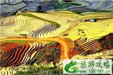 边境旅游通行证越南沙巴可以吗 河口边境旅游通行证恢复持身份证办理 边境旅游通行证越南沙巴可以吗 河口边境旅游通行证恢复持身份证办理