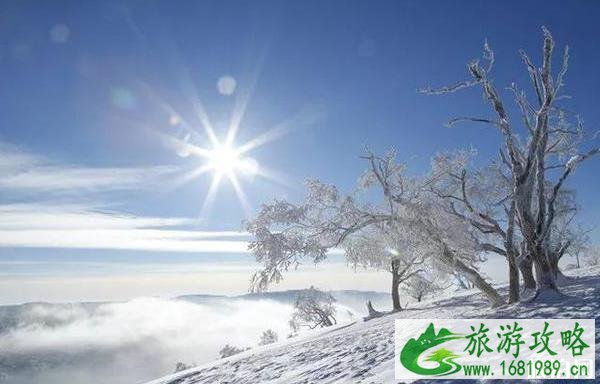 雪乡旅游攻略2022最新版 雪乡旅游攻略2022最新版