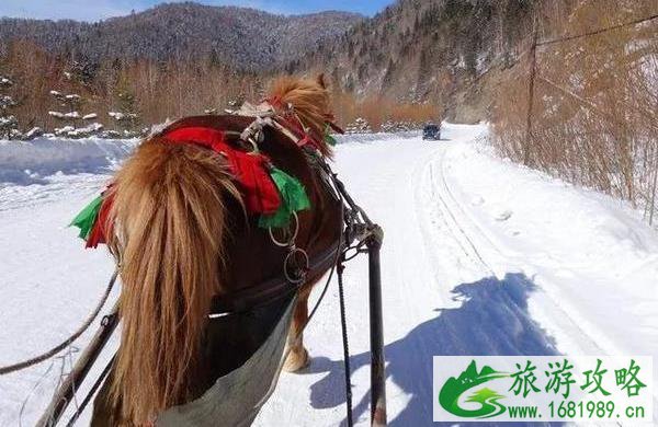 雪乡旅游攻略2022最新版 雪乡旅游攻略2022最新版