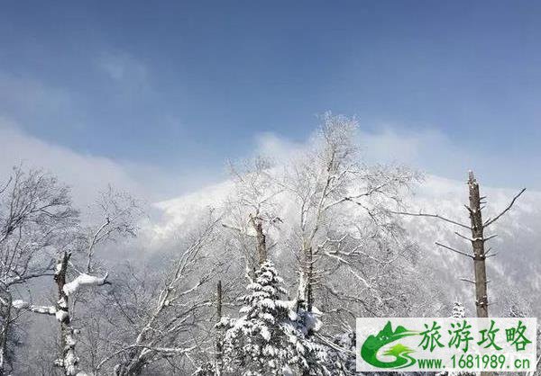 雪乡旅游攻略2022最新版 雪乡旅游攻略2022最新版