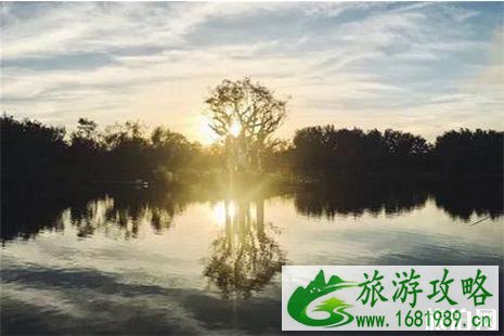 2022北京首届艺术季桃花源 时间+门票+作品 2022北京首届艺术季桃花源 时间+门票+作品