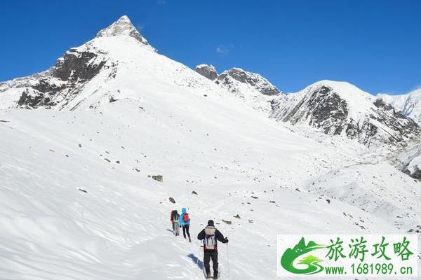 登珠穆朗玛峰要多少钱