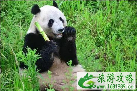 2022全国降价景点名单