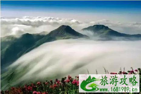 2022全国降价景点名单