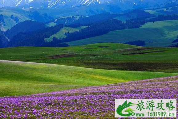2022旅行时间表国内 去哪旅游比较好玩 2022旅行时间表国内 去哪旅游比较好玩