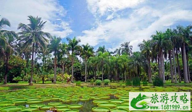 春节去哪里过冬旅游比较好 春节去哪里过冬旅游比较好