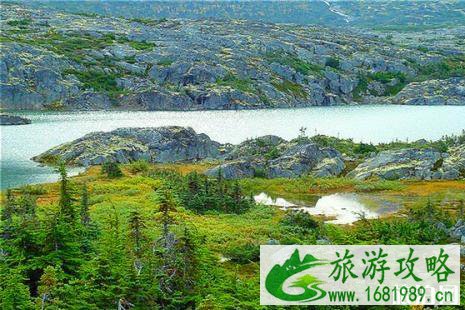 2022阿拉斯加地震12月能旅游吗 阿拉斯加地震会有海啸吗 2022阿拉斯加地震12月能旅游吗 阿拉斯加地震会有海啸吗