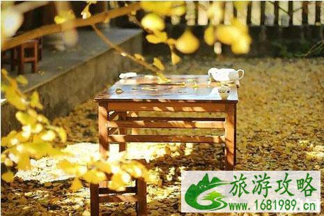 秋冬去哪里旅游好