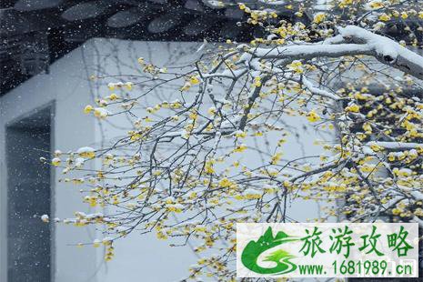 扬州雪景推荐 扬州的雪景图片 扬州雪景推荐 扬州的雪景图片