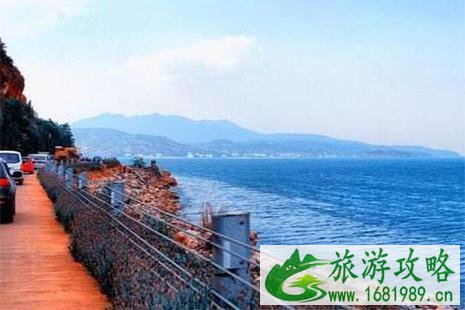 2022抚仙湖新年马拉松怎么到达现场