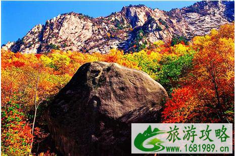 河北雾灵山都有哪些景点 河北雾灵山都有哪些景点