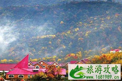 2022-2022西岭雪山下雪了吗 西岭雪山11月优惠信息