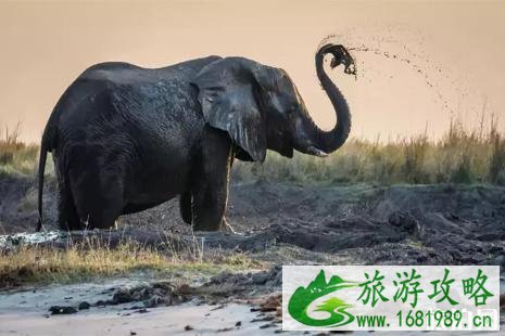 博茨瓦纳旅游攻略