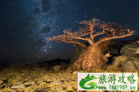 博茨瓦纳旅游攻略