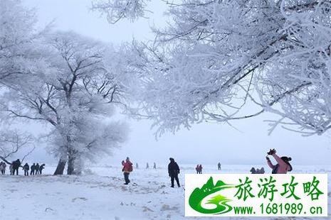 2022-2022雾凇岛地址+门票费用+交通线路