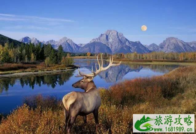 美国旅游必去的景点有哪些 美国旅游必去的景点有哪些