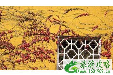 苏州周边赏红叶的地方 苏州最佳红叶观赏地 苏州周边赏红叶的地方 苏州最佳红叶观赏地