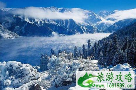 可可托海国际滑雪场确定在11月26号开业吗