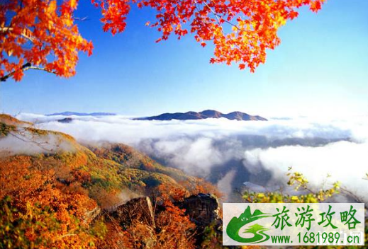 大连赏枫去哪里 大连秋冬去哪里旅游 大连赏枫去哪里 大连秋冬去哪里旅游