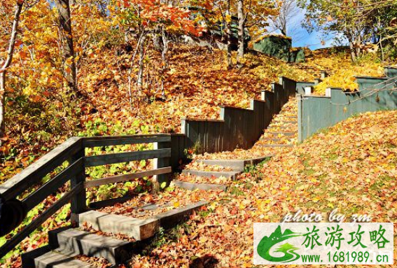大连赏枫去哪里 大连秋冬去哪里旅游 大连赏枫去哪里 大连秋冬去哪里旅游