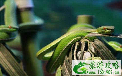杭州动物园门票多少钱