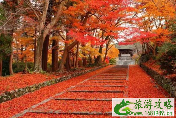 2022北京红叶最佳观赏景点地址+门票+交通+停车信息