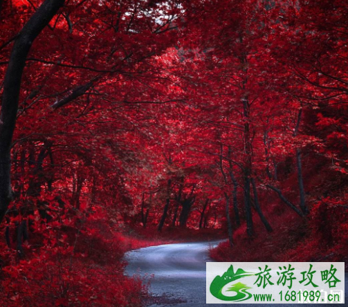 2022北京红叶最佳观赏景点地址+门票+交通+停车信息