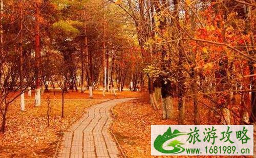福建省最热门的景区有哪些 福建省最热门的景区有哪些