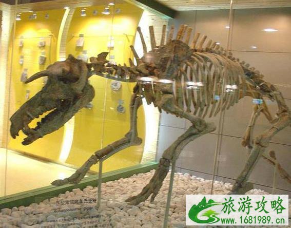 北京适合小孩玩的地方 北京适合小孩玩的地方