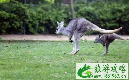 南宁适合小孩玩的地方有哪些 南宁适合小孩玩的地方有哪些
